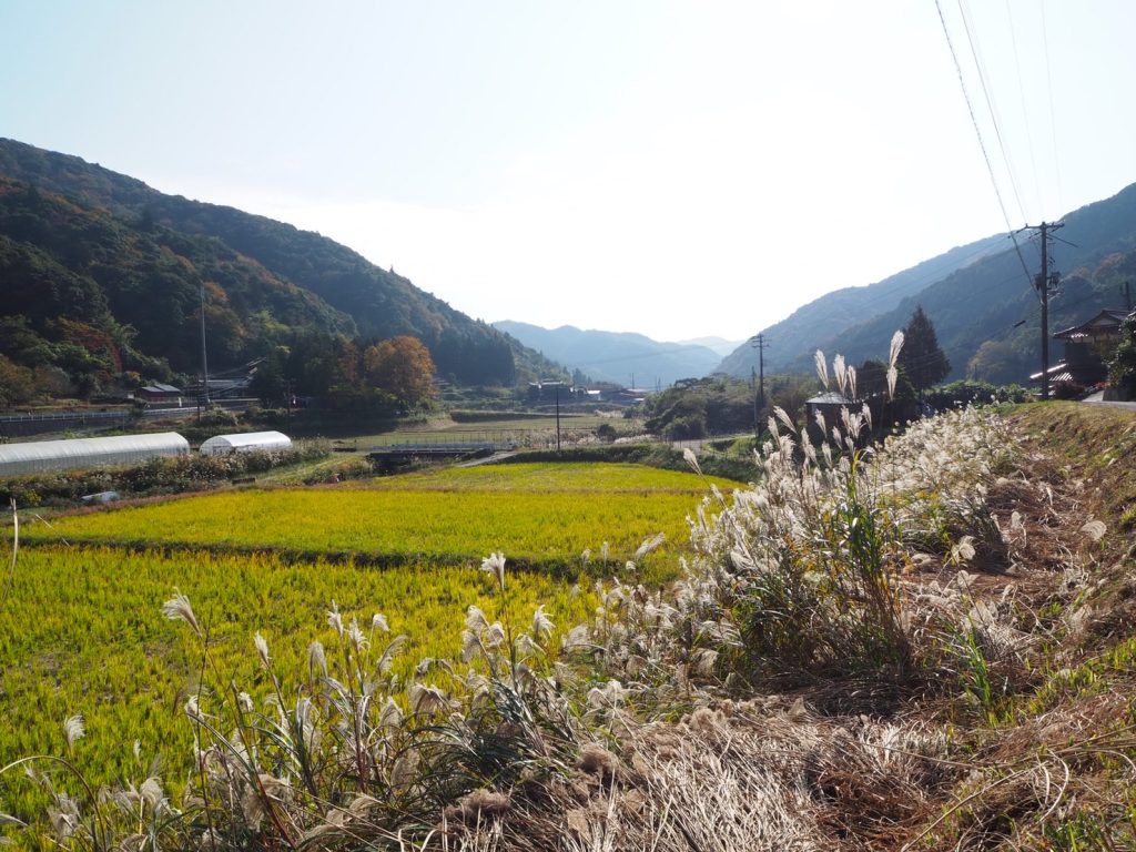 2022/11/12 | 第８回 ONSEN・ガストロノミーウォーキング in 長門